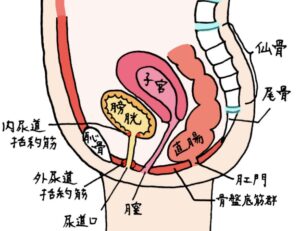 kotubannnaizou