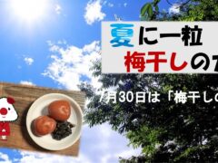 umebosinotikara