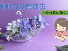 kayuminikikutubo